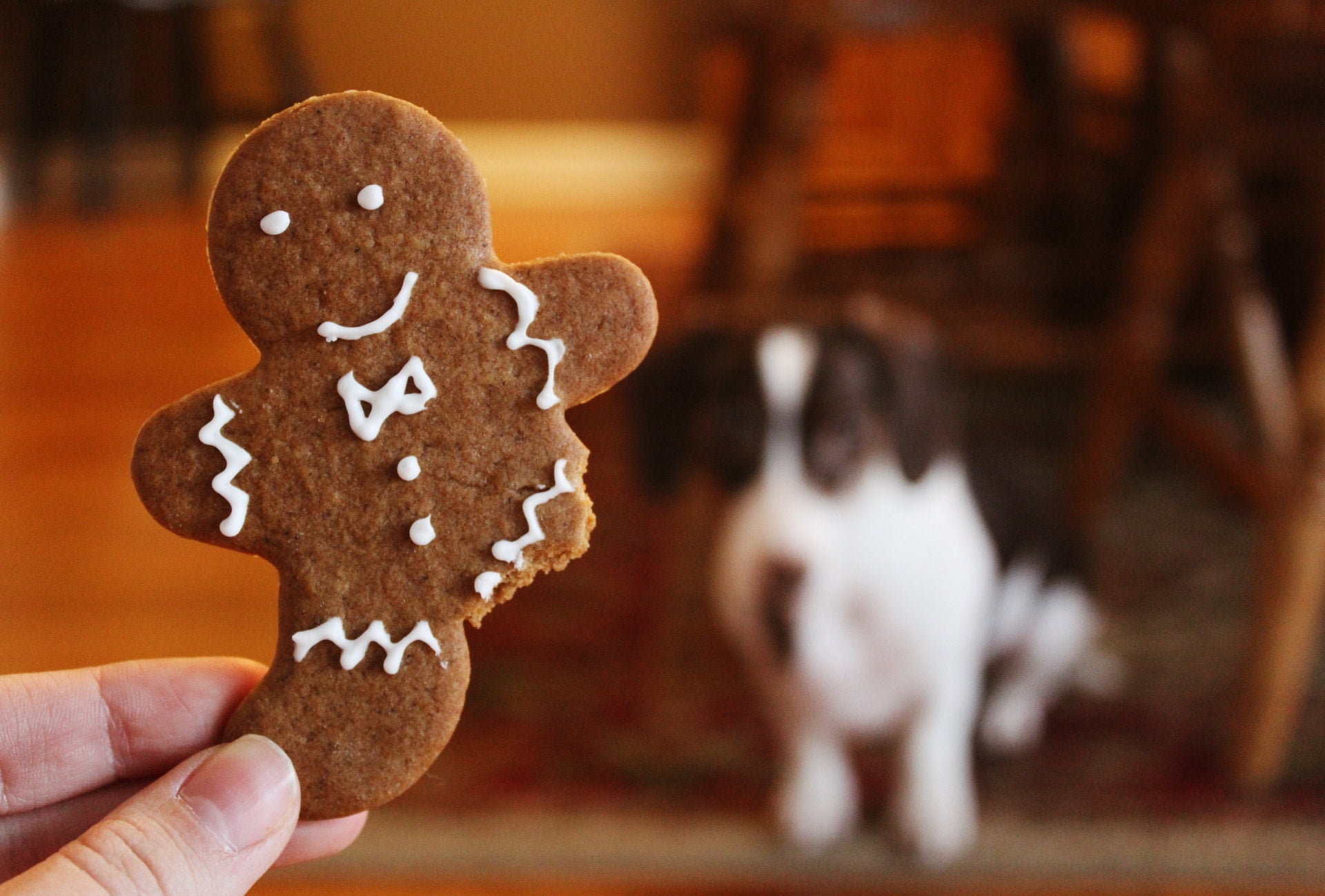 Cookie VS Session – BorntoDev เริ่มต้นเรียน เขียนโปรแกรม ขั้นเทพ