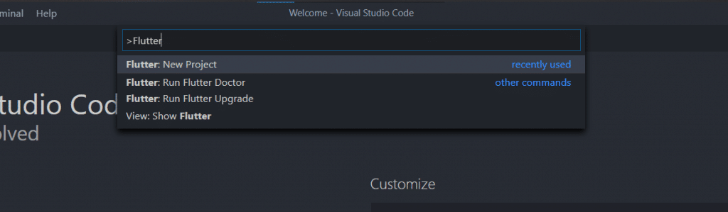 Flutter new project