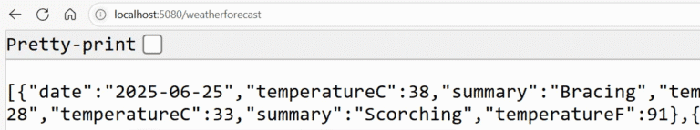 เริ่มต้นสร้าง API ง่าย ๆ ด้วย .NET ใน 10 นาที – BorntoDev เริ่มต้นเรียน ...