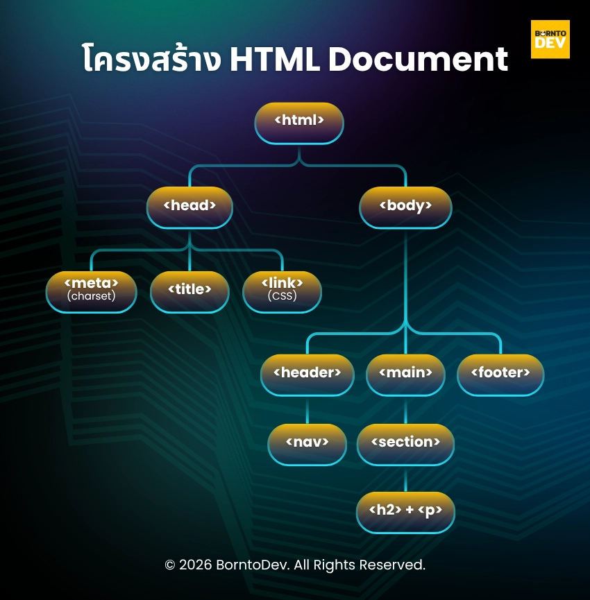 HTML Document structure chart in fundamental part that web developer should know